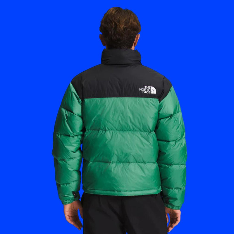 JAQUETA MASCULINA THE NORTH FACE