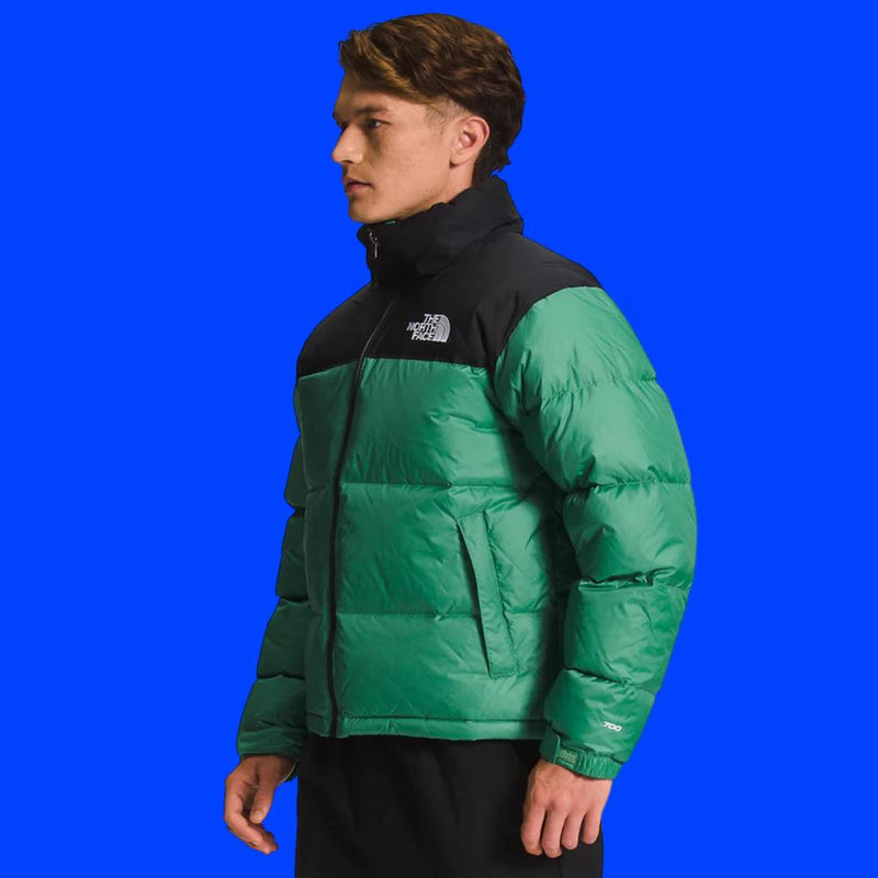 JAQUETA MASCULINA THE NORTH FACE