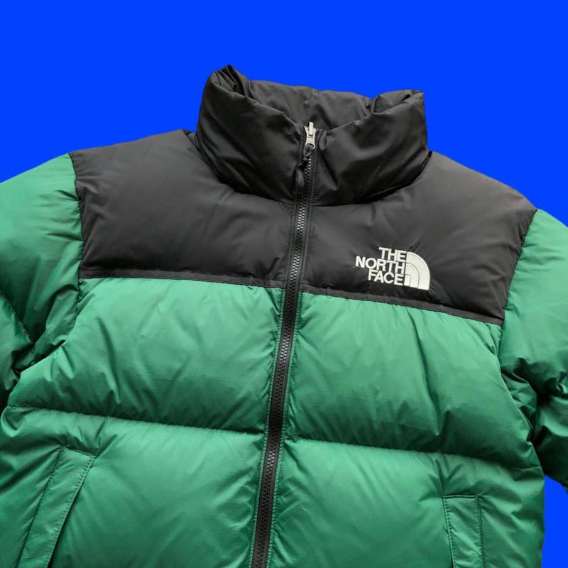 JAQUETA MASCULINA THE NORTH FACE