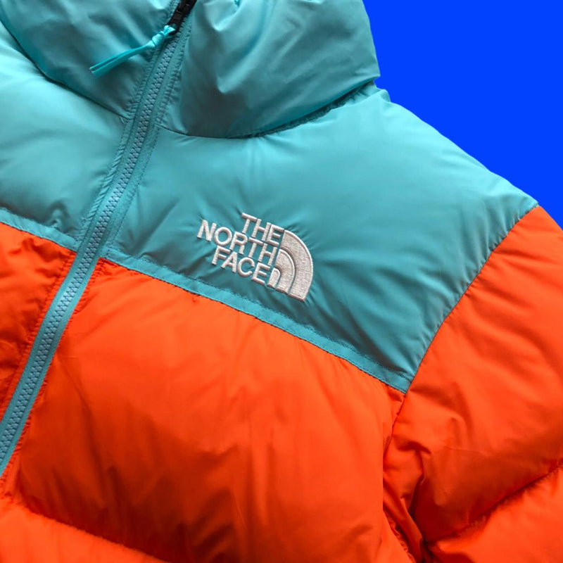 JAQUETA MASCULINA THE NORTH FACE