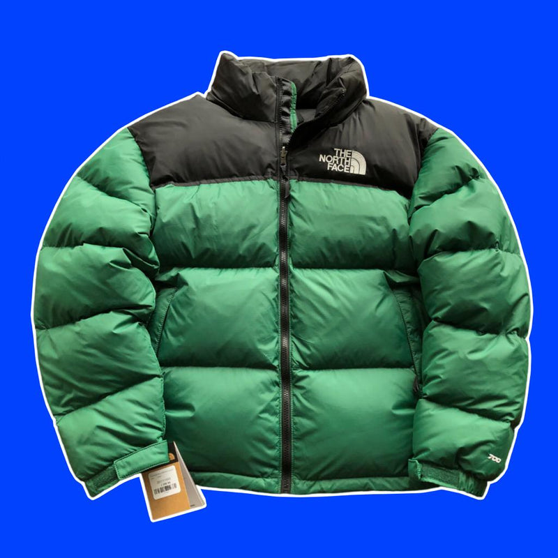 JAQUETA MASCULINA THE NORTH FACE